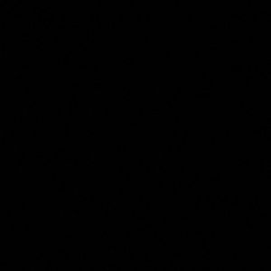 Meet your Posher, Dee